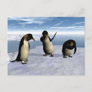 Kaiser Penguins Postkarte