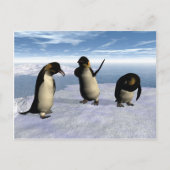 Kaiser Penguins Postkarte (Vorderseite)