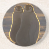 Kaiser Penguins Untersetzer (Vorne)