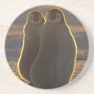 Kaiser Penguins Untersetzer