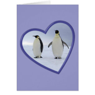 Kaiser-Pinguin