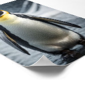 Kaiser Pinguin 2 Poster (Ecke)