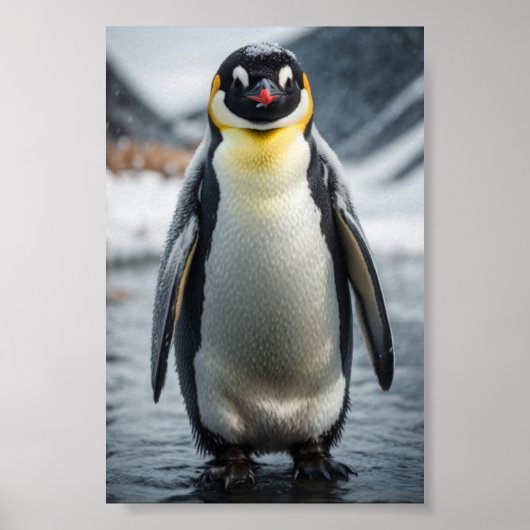 Kaiser Pinguin 2 Poster (Vorne)