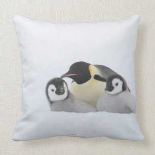 Kaiser-Pinguin (Aptenodytes forsteri) 2 Kissen