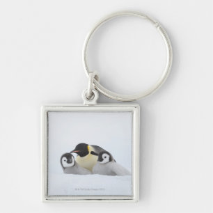 Kaiser-Pinguin (Aptenodytes forsteri) 2 Schlüsselanhänger