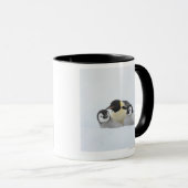 Kaiser-Pinguin (Aptenodytes forsteri) 2 Tasse (VorderseiteRechts)