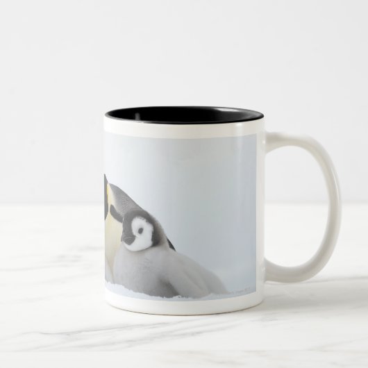 Kaiser-Pinguin (Aptenodytes forsteri) 2 Zweifarbige Tasse (Rechts)