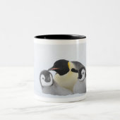 Kaiser-Pinguin (Aptenodytes forsteri) 2 Zweifarbige Tasse (Mittel)