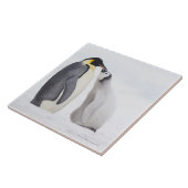 Kaiser-Pinguin (Aptenodytes forsteri), Küken Fliese (Seite)