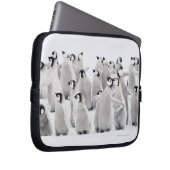 Kaiser-Pinguin (Aptenodytes forsteri) Laptopschutzhülle (Vorne Rechts)