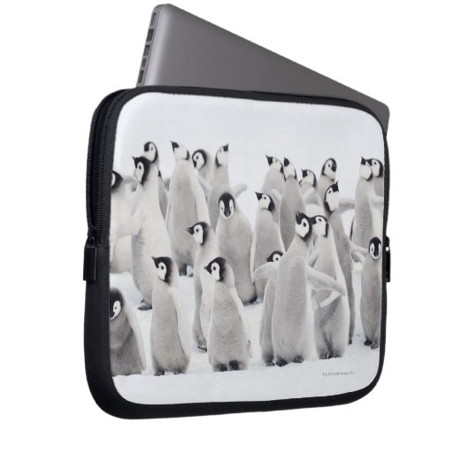 Kaiser-Pinguin (Aptenodytes forsteri) Laptopschutzhülle (Vorne Rechts)