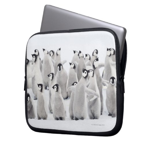 Kaiser-Pinguin (Aptenodytes forsteri) Laptopschutzhülle (Vorderseite Links)