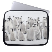 Kaiser-Pinguin (Aptenodytes forsteri) Laptopschutzhülle (Vorderseite)