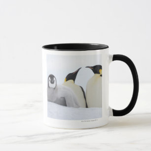 Kaiser-Pinguin (Aptenodytes forsteri) Tasse