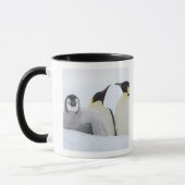 Kaiser-Pinguin (Aptenodytes forsteri) Tasse (Links)