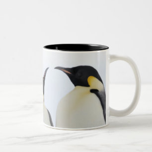Kaiser-Pinguin (Aptenodytes forsteri) Zweifarbige Tasse