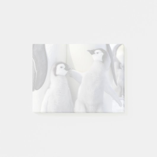 Kaiser Pinguin Chick Post-it Klebezettel (Vorderseite)