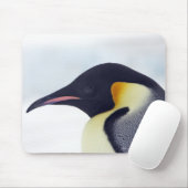 Kaiser Pinguin, Insel Snow Hill Mousepad (Mit Mouse)