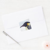 Kaiser Pinguin, Insel Snow Hill Quadratischer Aufkleber (Umschlag)