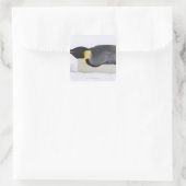 Kaiser Pinguin, Insel Snow Hill, Weddell Sea, Quadratischer Aufkleber (Tasche)