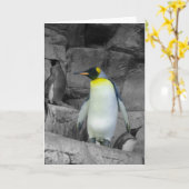Kaiser-Pinguin Karte (Gelbe Blume)