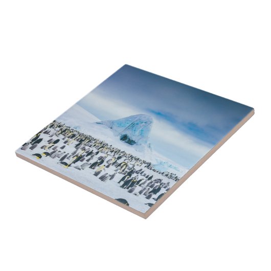 Kaiser-Pinguin-Kolonie Fliese (Seite)