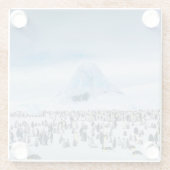Kaiser-Pinguin-Kolonie Glasuntersetzer (Rückseite)