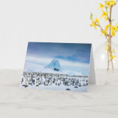 Kaiser-Pinguin-Kolonie Karte (Gelbe Blume)