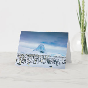 Kaiser-Pinguin-Kolonie Karte