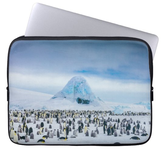 Kaiser-Pinguin-Kolonie Laptopschutzhülle (Vorderseite)