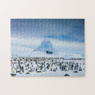 Kaiser-Pinguin-Kolonie Puzzle