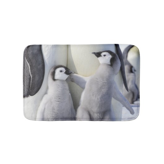 Kaiser-Pinguin-Küken Badematte (Vorderseite)
