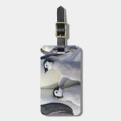 Kaiser-Pinguin-Küken Gepäckanhänger (Vorderseite vertikal)