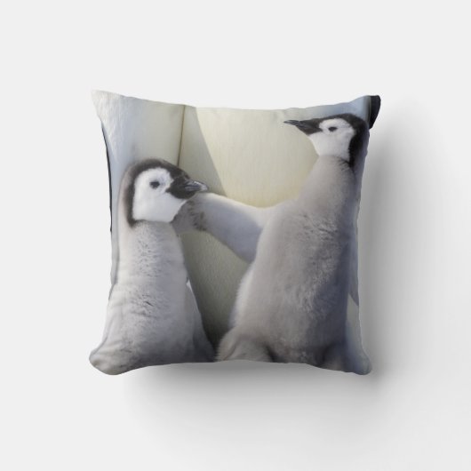 Kaiser-Pinguin-Küken Kissen (Vorderseite)