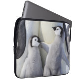 Kaiser-Pinguin-Küken Laptopschutzhülle (Vorne Rechts)