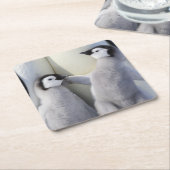 Kaiser-Pinguin-Küken Rechteckiger Pappuntersetzer (angewinkelt)