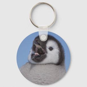Kaiser-Pinguin-Küken Schlüsselanhänger