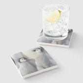 Kaiser-Pinguin-Küken Steinuntersetzer (Seitenansicht)