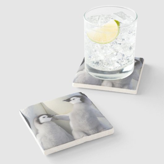 Kaiser-Pinguin-Küken Steinuntersetzer (Seitenansicht)