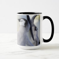 Kaiser-Pinguin-Küken