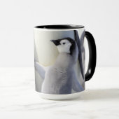 Kaiser-Pinguin-Küken Tasse (VorderseiteRechts)