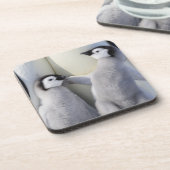 Kaiser-Pinguin-Küken Untersetzer (Linke Seite)