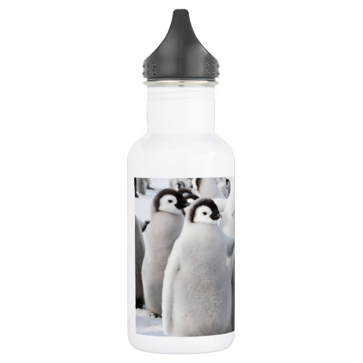 Kaiser-Pinguin-Kükenwasserflasche Trinkflasche (Links)