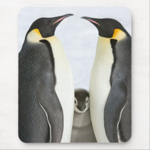Kaiser-Pinguin-Mausunterlage Mousepad