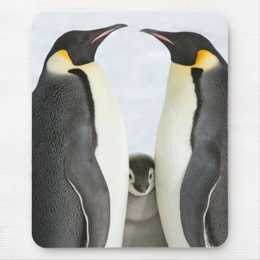 Kaiser-Pinguin-Mausunterlage Mousepad (Vorne)