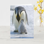 Kaiser Pinguin mit Kick - Karte (Gelbe Blume)