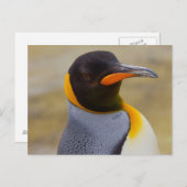 Kaiser Pinguin Postkarte (Vorne/Hinten)