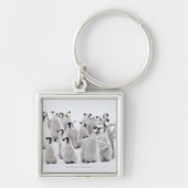 Kaiser-Pinguin Schlüsselanhänger (Vorne)