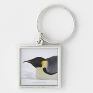 Kaiser-Pinguin, Schnee-Hügel-Insel, Weddell Meer, Schlüsselanhänger