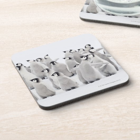 Kaiser-Pinguin Untersetzer (Linke Seite)